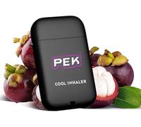 Relevantdo Nasal Stick, Pek Pro 2.0 Nasal Stick Inhaler,Portable Double Hole Travel Fragrance Bar,Dual-Tip Travel Fragrance Bar,Cool Mint Energizing Scents with Flip Cover (Mangosteen)