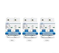 Reliable 2P Circuit Breaker for Solar PV, Protects at 80A 100A 125A, 600V Applications (80A)