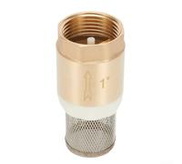 Reliable Brass Foot Valve DN25, Brass Check Valve Spring Non Return Check Valve, Brass Foot Valve Pump Inlet Filter Strainer For Pump