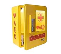 AED Alarmed Outdoor Wall Mountable Heated Metal Cabinet Yellow 2105