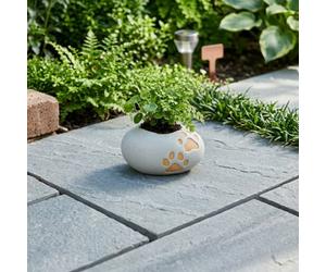 Relica Mini Paw Print Planter Pot