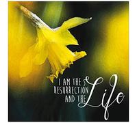 Religious Easter Cards - Daffodil, pack of 5, with white envelopes and Bible verse inside these Christian Easter cards, by Just Cards Direct