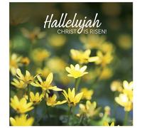 Religious Easter Cards, Hallelujah Flowers, Pack of 5 with Bible Verse