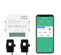 Relogic WiFi Intelligent Electricity Energy Meter Smart Power Production Consumption Monitor with 2 * 80A CT Current Transformer Support Real-Time Monitoring Alert Function Mobile Phone