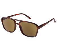 Remaldi Havana Matt Black Sun Reading Glasses 1.25 (Matt Chestnut Tortoise, 2, Dioptres)