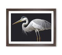 Remarkable Heron Bird BLK Framed Print | A3 Walnut Framed Wall Art | Ready to Hang | Modern Animal Picture | Living Room Bedroom Lounge Office