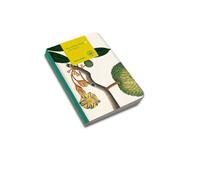 Remarkable Plants: Set of 3 A5 Notebooks: Notebook Set (3) - A5