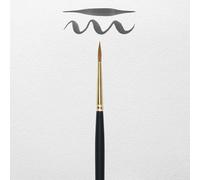 Rembrandt 100 Series #2 Watercolor Brush (Japan Import), Multicoloured, Variety Pack