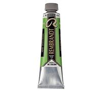 Rembrandt Paint Oil PERM GR MD, Permanent Green Medium, One Size
