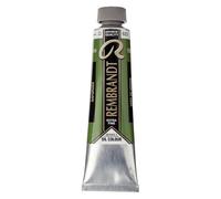 Rembrandt Oil Colour Tube 40 ml Sap Green 623