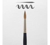 Rembrandt Professional Watercolour - BRUSH 110/12 FSC