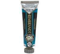 Rembrandt Tarens T0103-522-2 Oil Paint, Turquoise Blue, 0.5 fl oz (15 ml) (No.5)