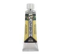 Rembrandt Watercolour Tube 10 ml Dusk green 630 (05016300)