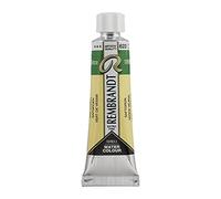 Rembrandt Watercolour Tube 10 ml Sap green 623 (05016230)