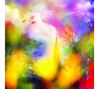 Remember Remember - The Quickening [VINYL]