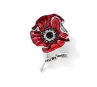 Remembrance Day Pin Badges, Enamel Red Poppy Pin Badge, Poppy Badges and Pins, Lest We Forget Brooches for Remembrance(B-Silver,5Pcs)