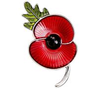 Remembrance Day Pin Badges, Enamel Red Poppy Pin Badge, Poppy Badges and Pins, Lest We Forget Brooches for Remembrance(A-Silver,5Pcs)