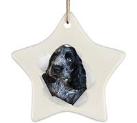 Remembrance Ornament With Ribbon Christmas Tree Decorations Ceramic Xmas Tree Decorations Christmas Ornaments Funny English Cocker Spaniel Blue Roan Coming Out Of Cracked Wall