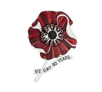 Remembrance Poppies Lapel Pin Red Poppies Flower Brooch Pins Enameled Rhinestones Brooch Memorial Day Gifts For Women Flower Pin