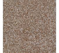 Remland Carrick Cove Bleach Cleanable Carpet (Beige, 3M X 5M)
