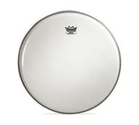 Remo Banjo Head, Coated (Bottom), 11-inch Diameter, Low Collar