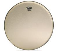 Remo Banjo Head, Renaissance Diplomat, 11-inch Diameter, Medium Collar