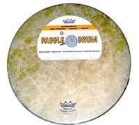 Remo Drum Set (PD-0114-HD-SD099)