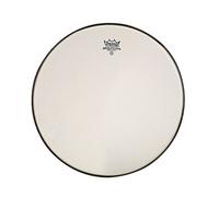 Remo SA0010-SS 10-Inch Renaissance Ambassador Snare Side Drumhead