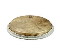 Remo Conga Drumhead, Tucked, 11", SKYNDEEP®, "Calfskin" Graphic