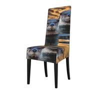Removable Dining Chair Cover WHJSSF Otters in The Lake Light Pattern Soft and Comfortable, Protects Chairs for Living Room, Dining Table and Kitchen