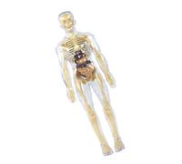 Removable Organs & Muscles Interactive Anatomy Learning Tool For Kids Ages 8+ Education Supplies