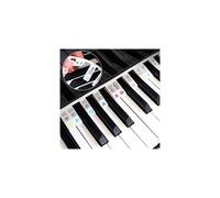 Removable Piano Keyboard Note Labels 88-Key Full Size Silicone Piano Note Guides Key Music Notes Letter Label Washable Piano Notes Overlay Strips for