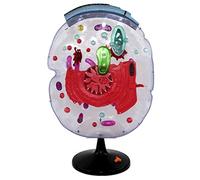 Removerable Teaching Model Transparent Plant Cell Model Removerable Biology Teaching Models Cross-Section Cell Anatomy Model Teaching Aid Anatomy