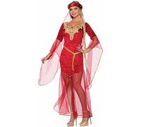 Renaissance Ruby Costume Dress Adult Women Standard