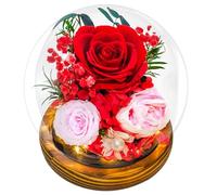 RENAISSANT Preserved Red Roses in Glass Dome - Eternal Flowers, Forever Roses with LED Light, a Unique Gift for Girlfriend, Wife, or Mom to Celebrate Christmas (Prime Delivery)