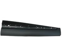 PRASCO RN7501403 Door molding