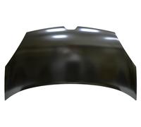 RENAULT KANGOO 2008- EXPRESS Renault Kangoo 13-22 Bonnet RN9213100