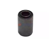 Renault Mascott rear stabilizer bush 5516010769
