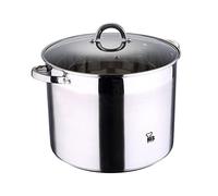 Renberg Alexander - Pot stainless steel glass lid 32x25 cm 20l suitable for induction