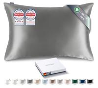 RENESSY Premium Silk Pillowcase 100% Organic Mulberry Silk, 22 Momme, Grade 6A - Oeko-Tex Certified in Germany - Luxury for Hair & Skin, 1 Piece (50x70 cm, Graphite Grey)