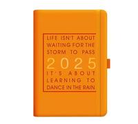 Rengood Havegoods 2025 One Day One Page Daily Planner - Your Ultimate Gift Calendar (Orange)