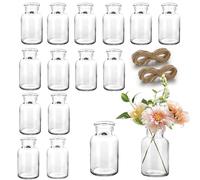 Renijion Mini Vase Set - 15pcs Small Glass Bud Vases for Flowers, Vintage Style for Decorative Table, Wedding Party, Home