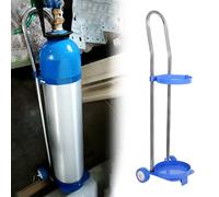 RENLXFI Single Cylinder D/E Oxygen Cylinder Cart, Steel 6 3/4" Dia Propane Gas Tank Holder/Medical Trolley for Wards Operating Rooms, Lightweight Tanks Stand(High 80cm(31 1/2"))