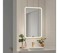 Renmlion Ceiling Mount Bathroom Mirror with Double Rods，Gold Metal Frame Vanity Mirror Large Wall Mirrors with LED Lights，Modern Decorative Hanging Mirrors for Living Room Hallway(40cmx60cm)