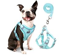 rennaio Dog Harness No Pull, Adjustable Puppy Harness with 2 Lead Clips, Ultra Breathable Padded Dog Vest Harness, Reflective Dog Harness and Lead Set for Small and Medium Dogs (Cyan, M)