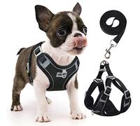 rennaio Dog Harness No Pull, Adjustable Puppy Harness with 2 Lead Clips, Ultra Breathable Padded Dog Vest Harness, Reflective Dog Harness and Lead Set for Small and Medium Dogs (Black, S)