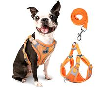 rennaio Dog Harness No Pull, Adjustable Puppy Harness with 2 Lead Clips, Ultra Breathable Padded Dog Vest Harness, Reflective Dog Harness and Lead Set for Small and Medium Dogs (Pumpkin, M)