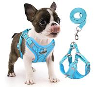 rennaio Dog Harness No Pull, Adjustable Puppy Harness with 2 Lead Clips, Ultra Breathable Padded Dog Vest Harness, Reflective Dog Harness and Lead Set for Small and Medium Dogs (Cerulean, S)