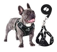 rennaio Dog Harness No Pull, Adjustable Puppy Harness with 2 Lead Clips, Ultra Breathable Padded Dog Vest Harness, Reflective Dog Harness and Lead Set for Small and Medium Dogs (Black, XL)