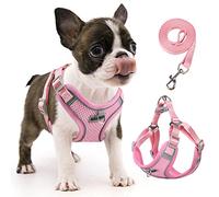 rennaio Dog Harness No Pull, Adjustable Puppy Harness with 2 Lead Clips, Ultra Breathable Padded Dog Vest Harness, Reflective Dog Harness and Lead Set for Small and Medium Dogs (Pink, S)